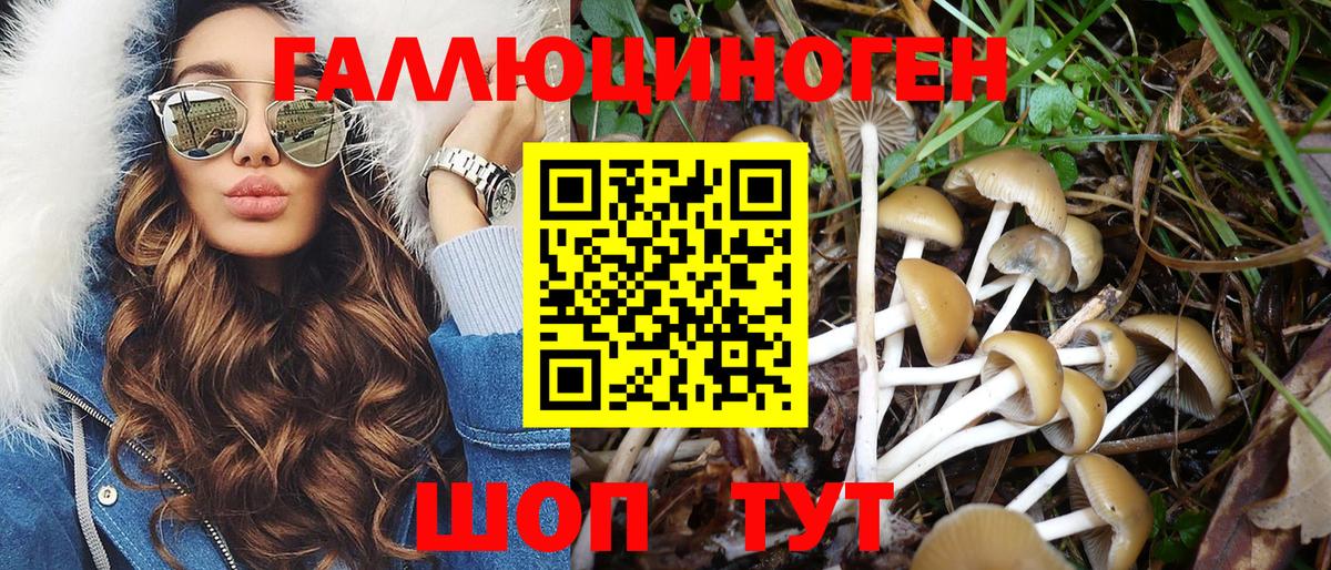 Псилоцибиновые грибы MAGIC MUSHROOMS  Галлюциногенные грибы MAGIC MUSHROOMS  Вход с VPN  Хабаровск 